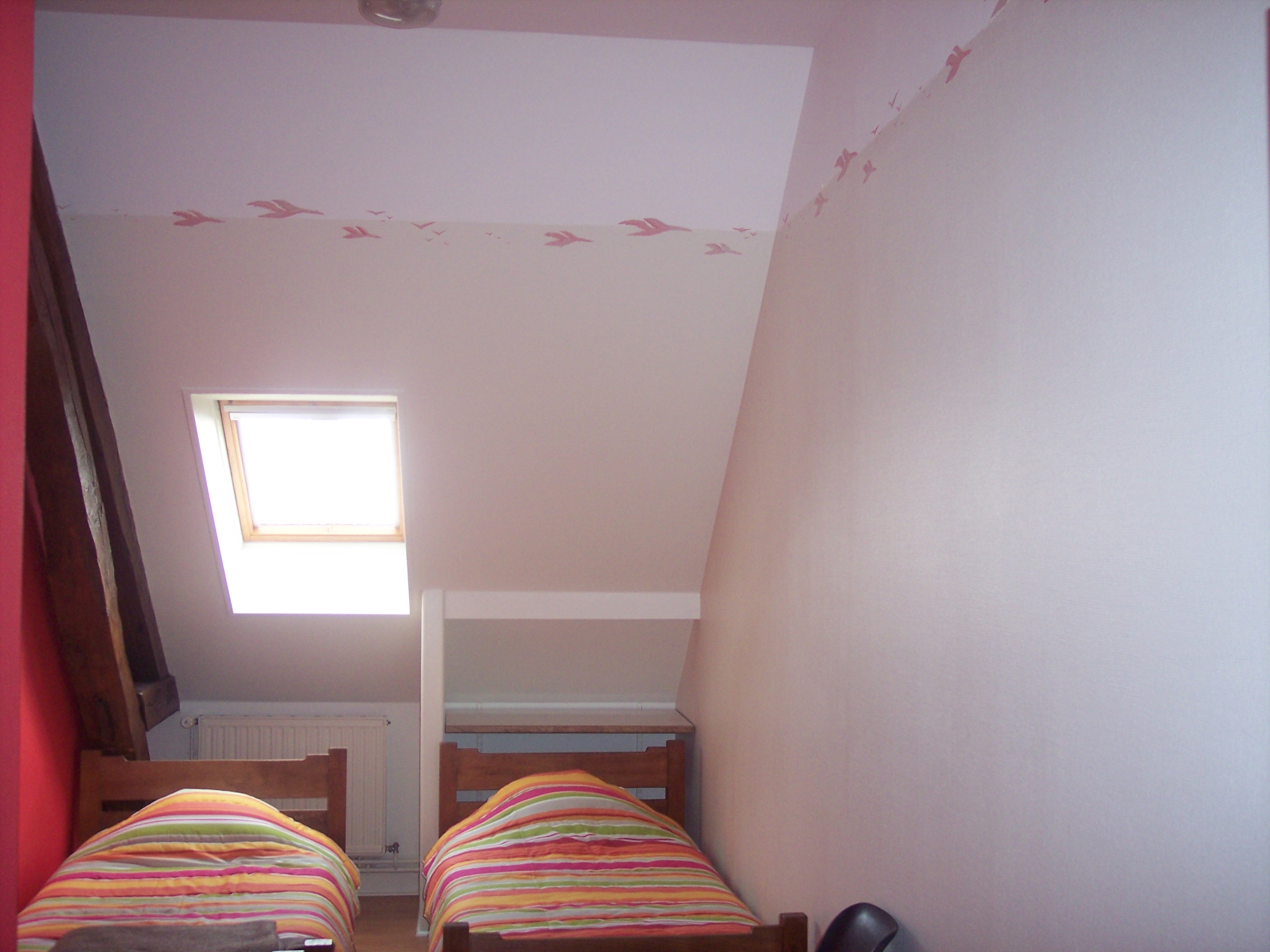 la chambre oie sauvage